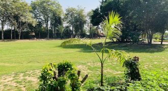 RAIWIND ROAD FARMHOUSE 28