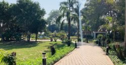RAIWIND ROAD FARMHOUSE 28