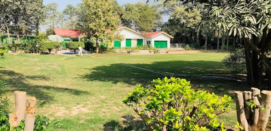 RAIWIND ROAD FARMHOUSE 28