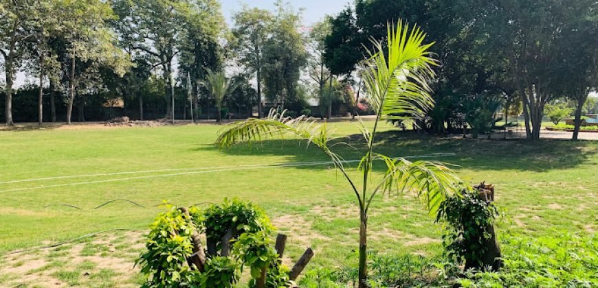 RAIWIND ROAD FARMHOUSE 28