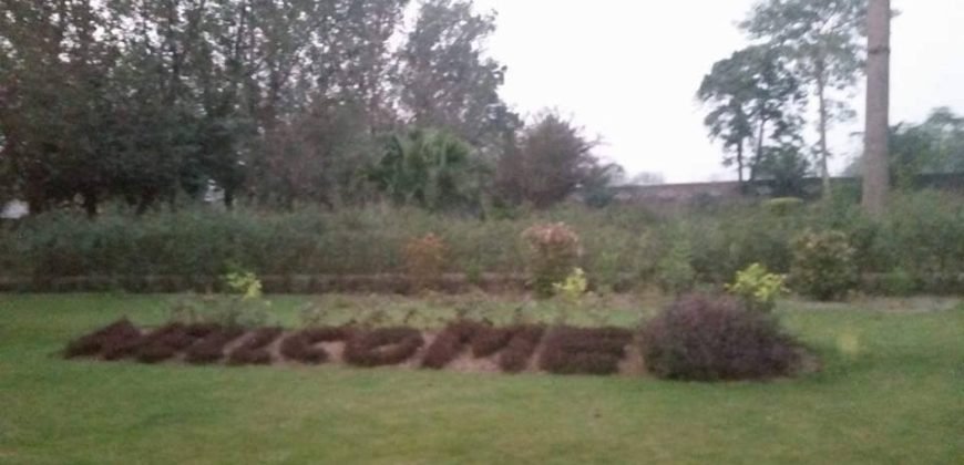 BARKI ROAD FARMHOUSE 81