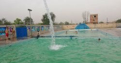 BARKI ROAD FARMHOUSE 81