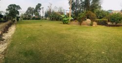 BARKI ROAD FARMHOUSE 81