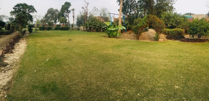 BARKI ROAD FARMHOUSE 81