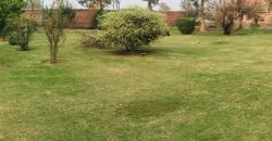 BARKI ROAD FARMHOUSE 81