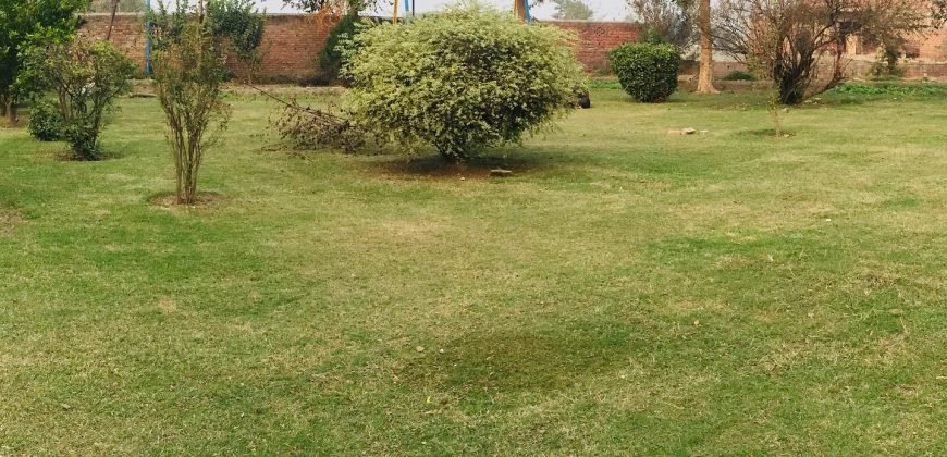 BARKI ROAD FARMHOUSE 81