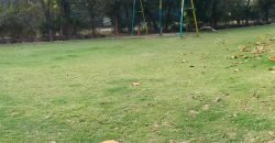 BARKI ROAD FARMHOUSE 81