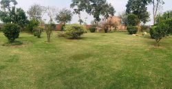 BARKI ROAD FARMHOUSE 81