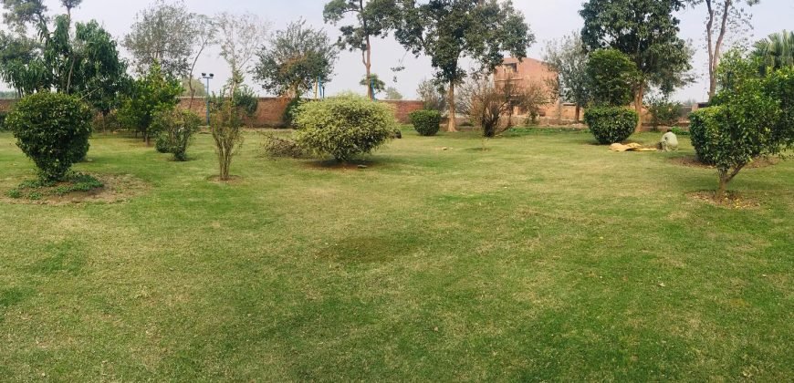 BARKI ROAD FARMHOUSE 81