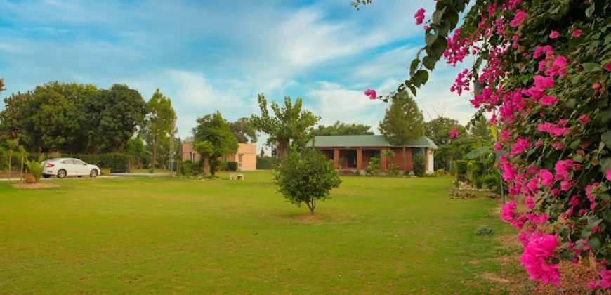 SWIMMIMG POOL BEDIAN ROAD 14
