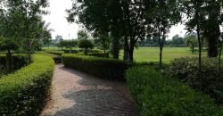 GREEN ACRE FARMHOUSE 18