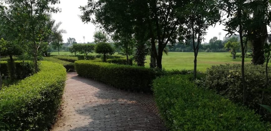 GREEN ACRE FARMHOUSE 18