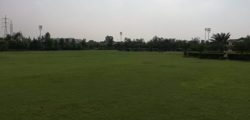 GREEN ACRE FARMHOUSE 18