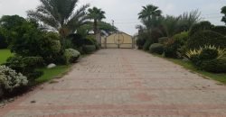 BARKI ROAD FARMHOUSE 48