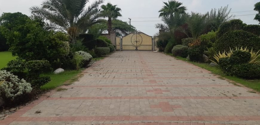 BARKI ROAD FARMHOUSE 48