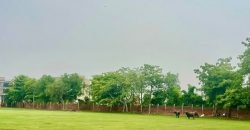 RAIWIND ROAD FARMHOUSE 115