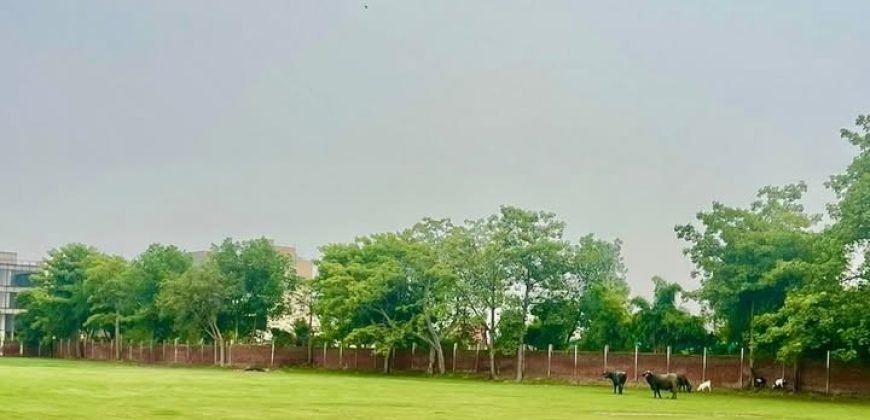 RAIWIND ROAD FARMHOUSE 115