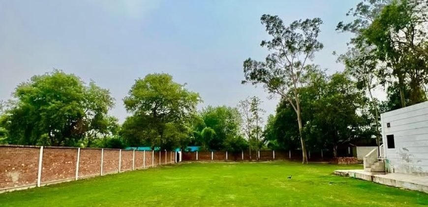 RAIWIND ROAD FARMHOUSE 115