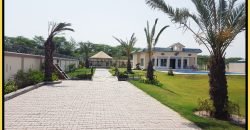 BARKI ROAD FARMHOUSE 145