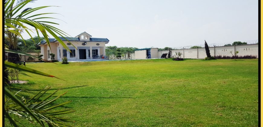 BARKI ROAD FARMHOUSE 145