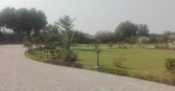 GREEN ACRE FARMHOUSE 16
