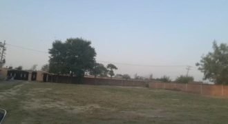 DHA FARMHOUSE 39