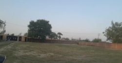 DHA FARMHOUSE 39