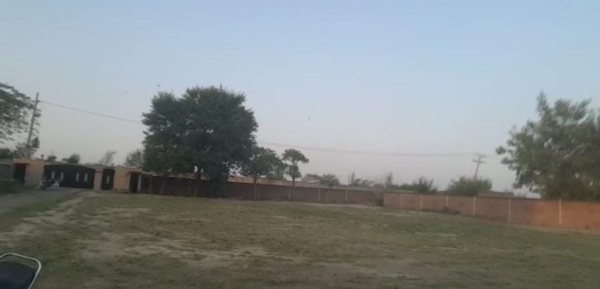 DHA FARMHOUSE 39