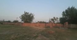 DHA FARMHOUSE 39
