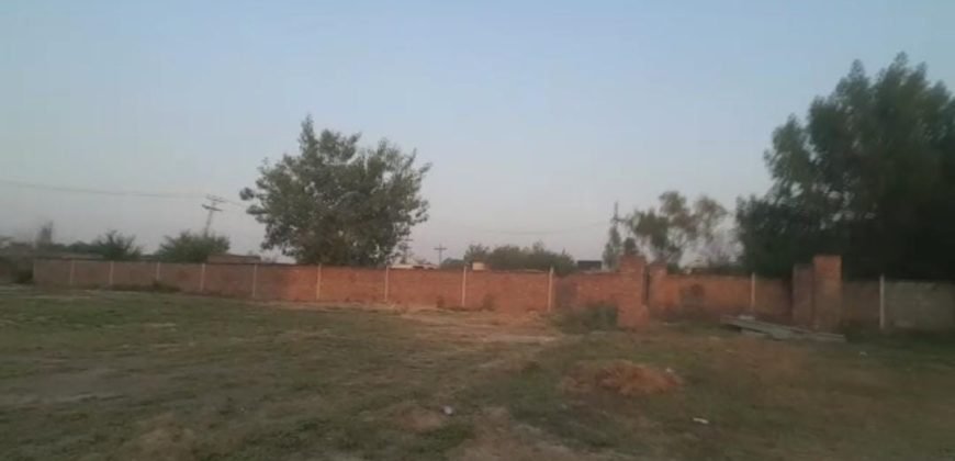 DHA FARMHOUSE 39