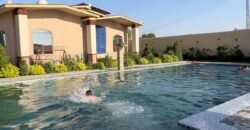 JALLO FARMHOUSE 164