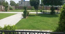BARKI ROAD FARMHOUSE  119