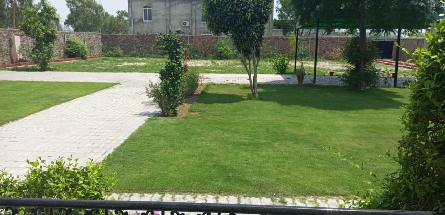 BARKI ROAD FARMHOUSE  119