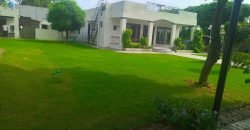 BARKI ROAD FARMHOUSE  119