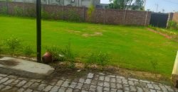 BARKI ROAD FARMHOUSE  119