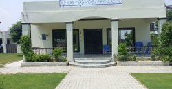 BARKI ROAD FARMHOUSE  119