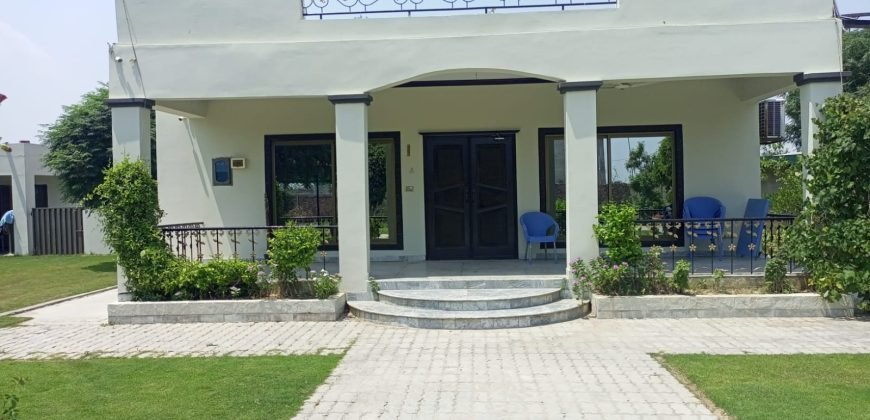 BARKI ROAD FARMHOUSE  119