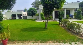 BARKI ROAD FARMHOUSE  119