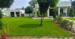 BARKI ROAD FARMHOUSE  119
