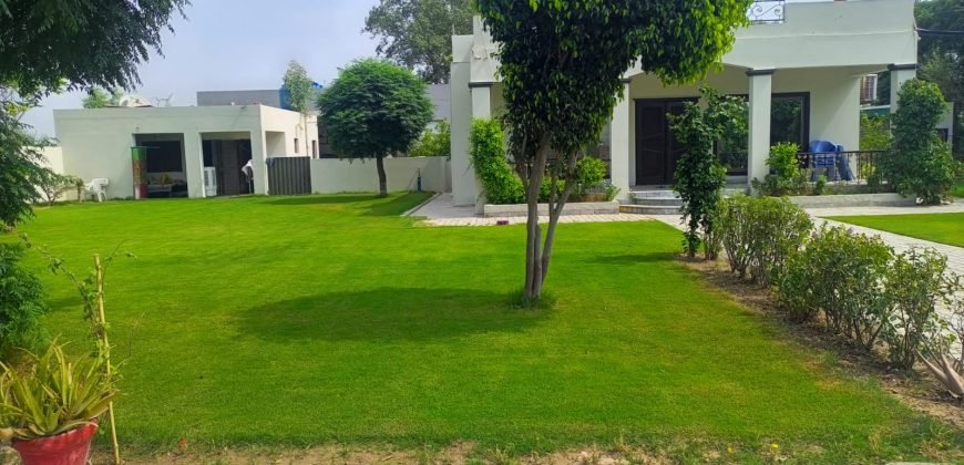 BARKI ROAD FARMHOUSE  119
