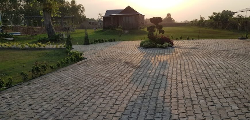 BARKI ROAD FARMHOUSE 79