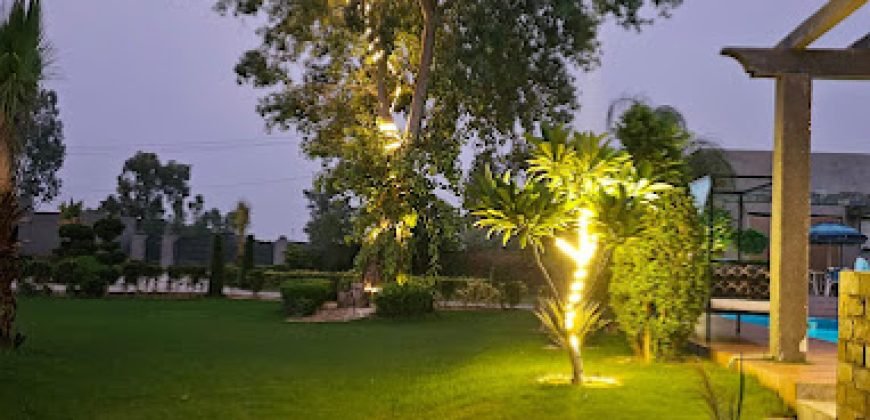 BARKI ROAD FARMHOUSE 79