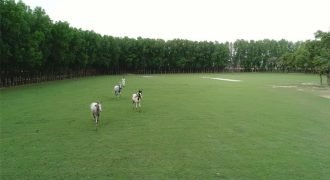 BEDIAN ROAD FARMHOUSE 101