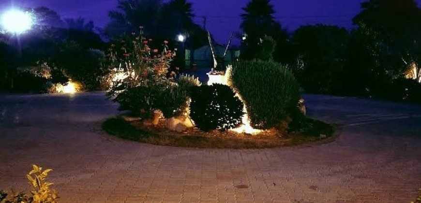 BARKI ROAD FARMHOUSE 45