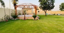 RAIWIND ROAD FARMHOUSE 96