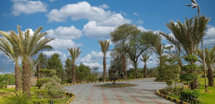 MULTAN ROAD FARMHOUSE 145