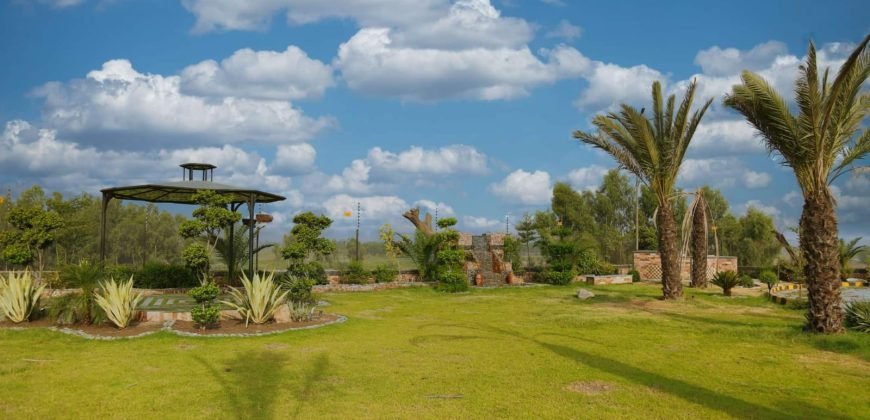 MULTAN ROAD FARMHOUSE 145