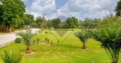 DHA FARMHOUSE 139