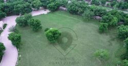 DHA FARMHOUSE 139
