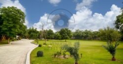 DHA FARMHOUSE 139